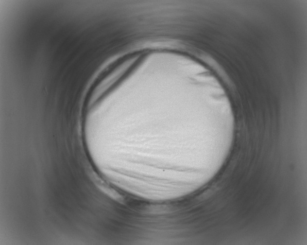 X0000081341232200702082220