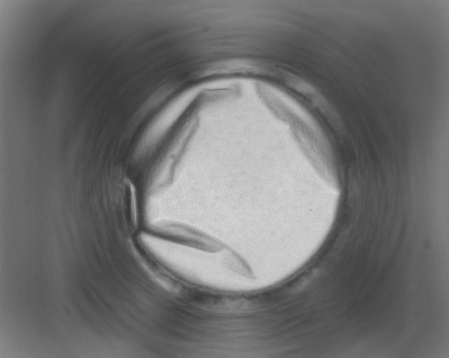 X0000081341233200702082220