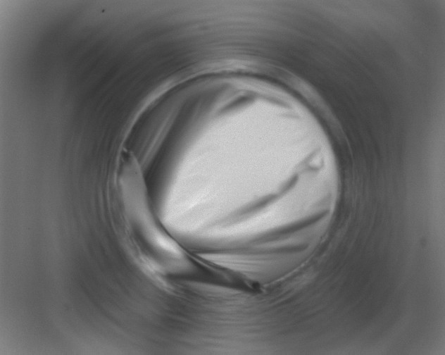 X0000081341234200702082220