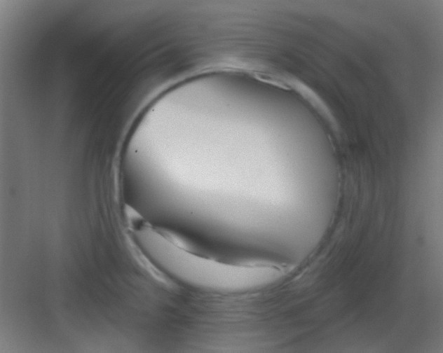 X0000081341238200702082220