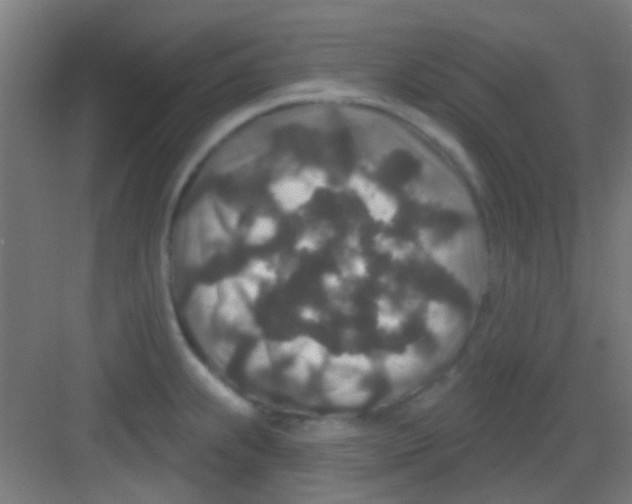 X0000081341239200702082220