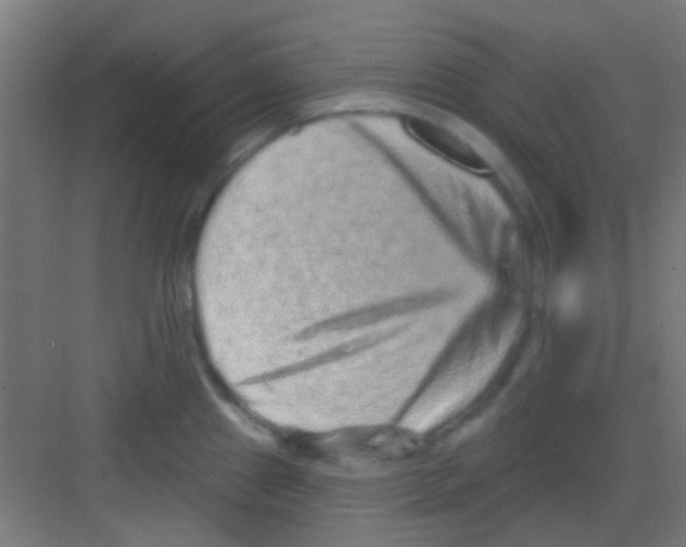 X0000081341241200702082220