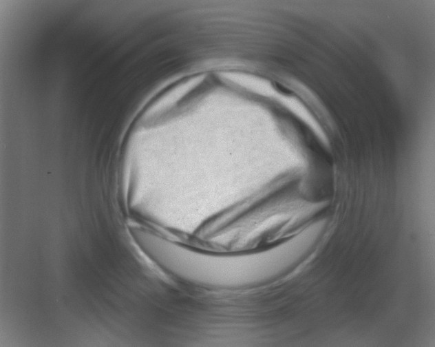 X0000081341244200702082220
