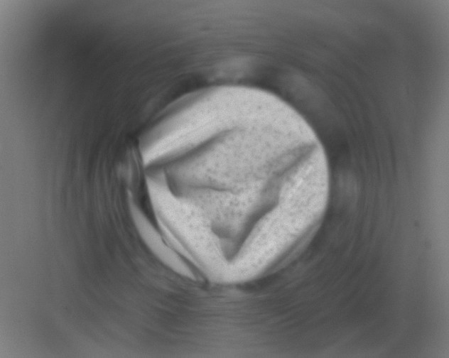 X0000081341250200702082220