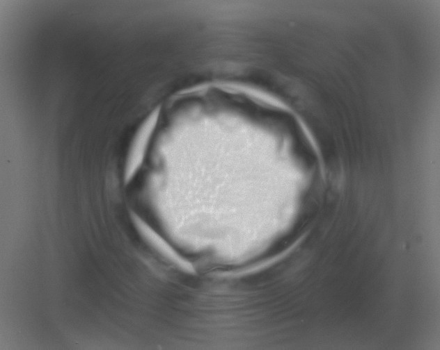 X0000081341252200702082220