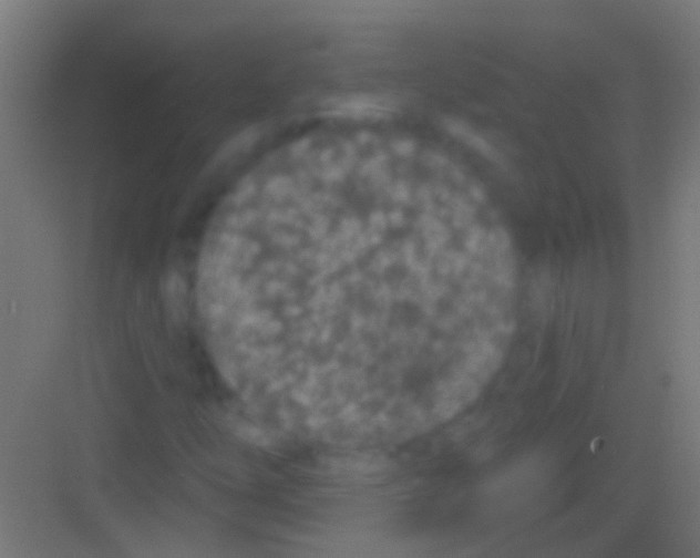 X0000081341254200702082219