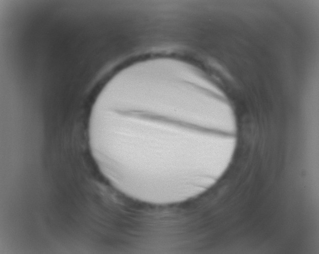 X0000081341256200702082219