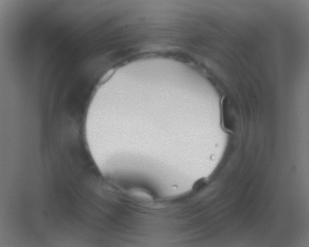 X0000081341257200702082219