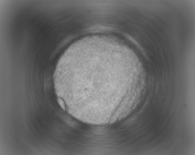 X0000081341259200702082219