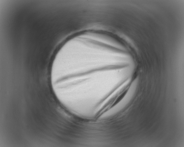 X0000081341264200702082219