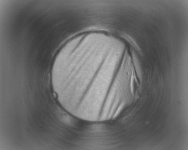 X0000081341268200702082219