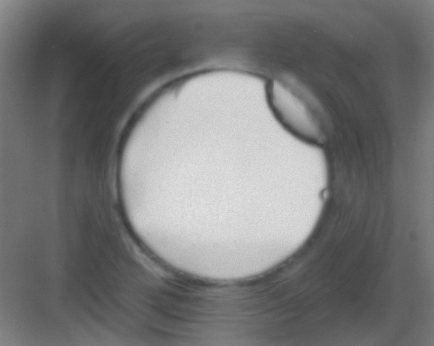 X0000081341272200702082219