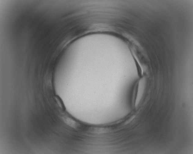 X0000081341273200702082219