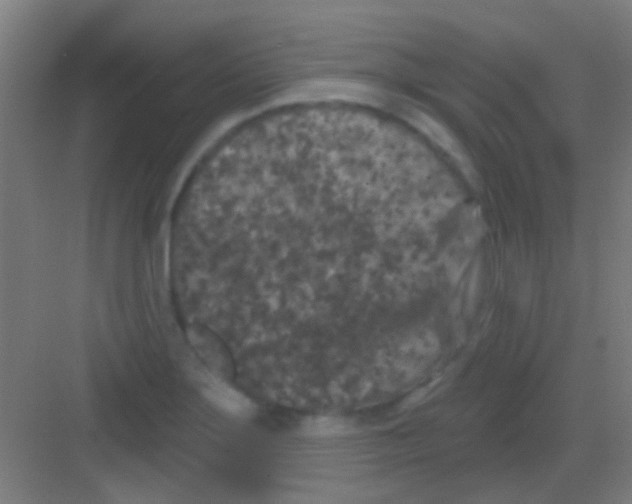 X0000081341275200702082219