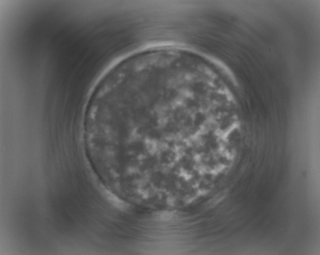 X0000081341279200702082219