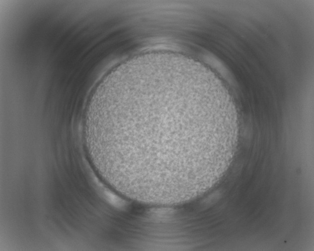 X0000081341282200702082219
