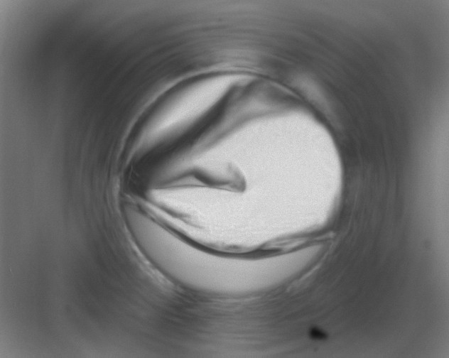 X0000081341284200702082219