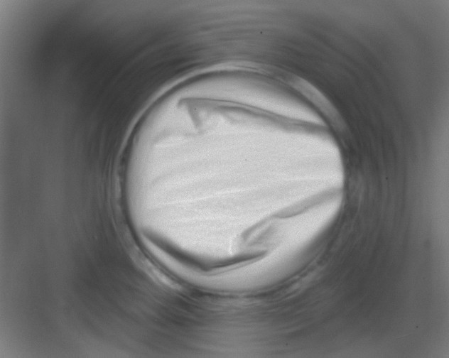 X0000081341292200702082219