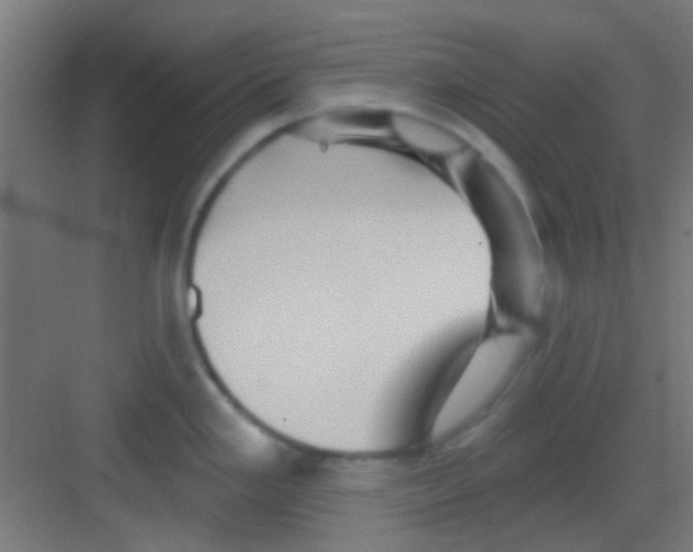 X0000081341293200702082219