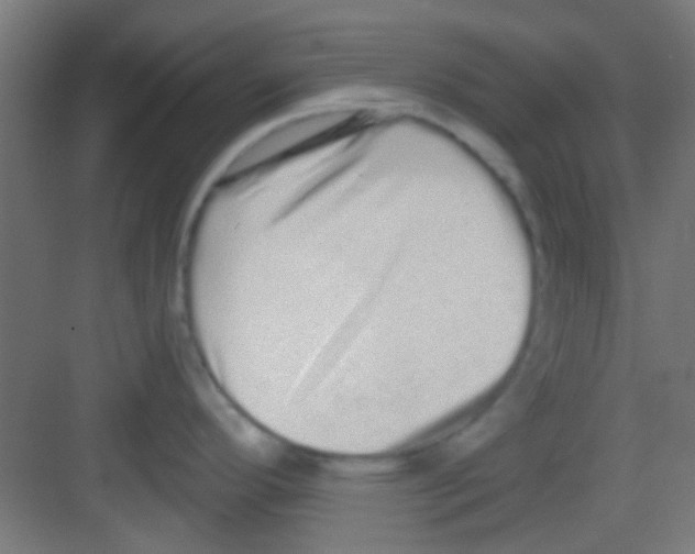 X0000081341296200702082219