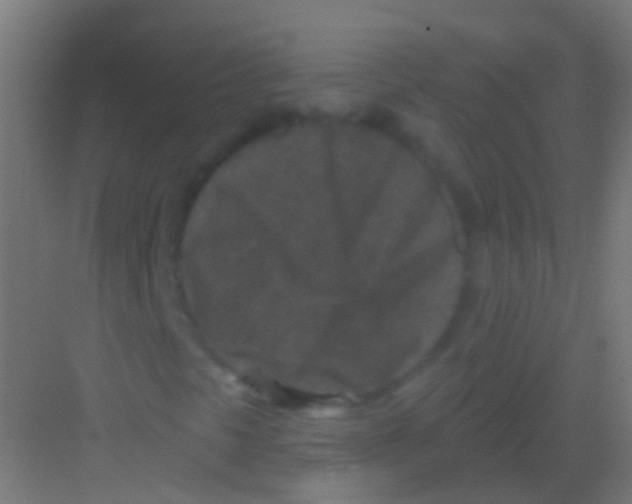 X0000081341297200702082218