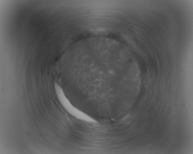 X0000081341298200702082218