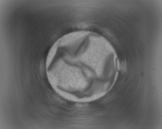 X0000081341299200702082218