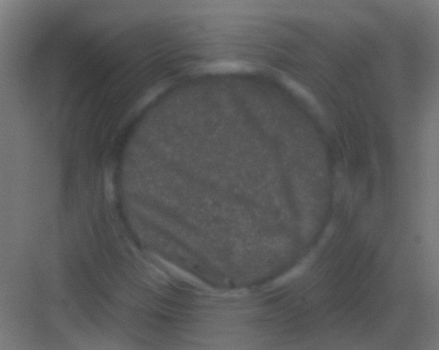 X0000081341305200702082218
