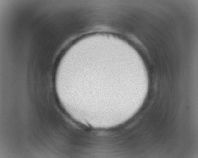 X0000081341318200702082218