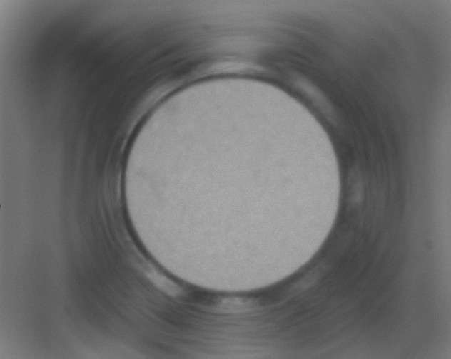 X0000081341322200702082218
