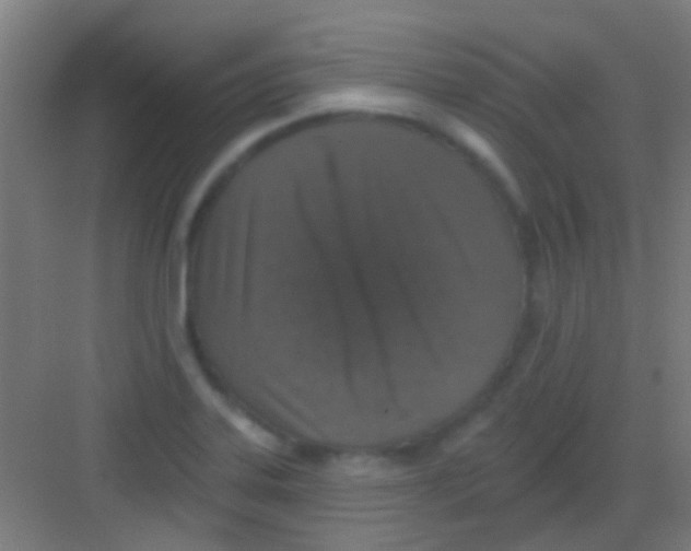 X0000081341323200702082218