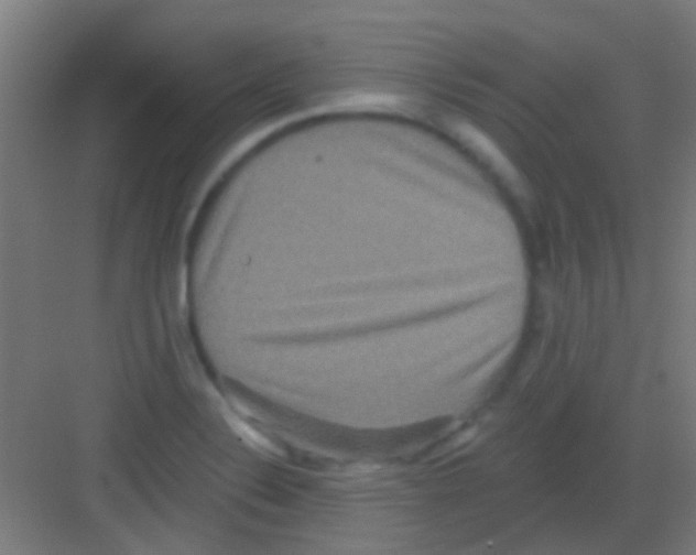 X0000081341324200702082218