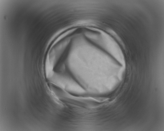 X0000081341336200702082219