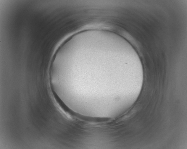 X0000081341344200702082219