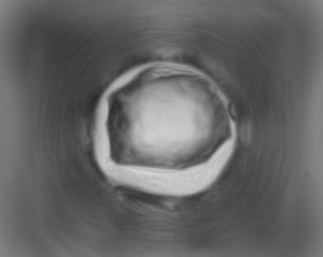 X0000081341347200702082218