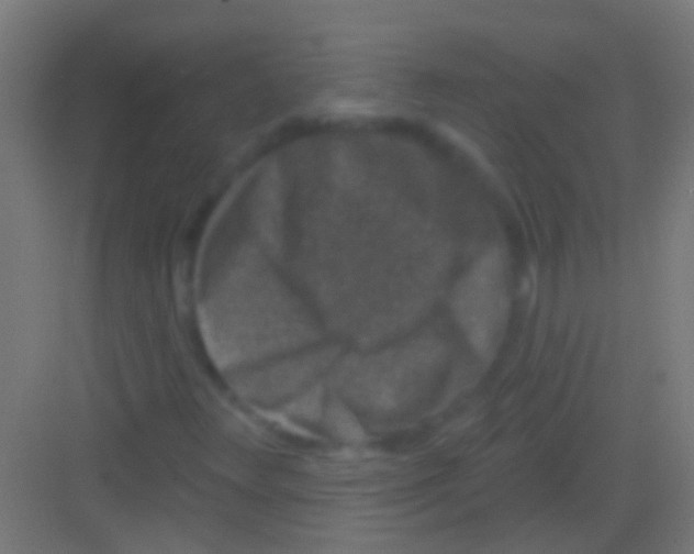 X0000081341348200702082218