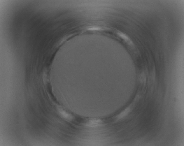 X0000081341353200702082218