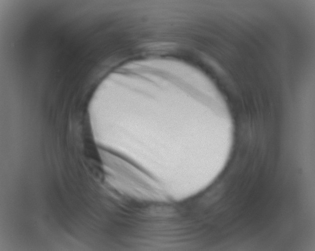 X0000081341354200702082218