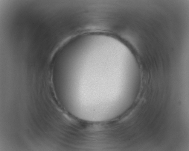 X0000081341357200702082218