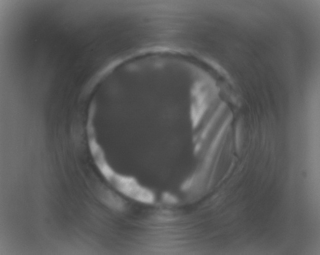 X0000081341359200702082218