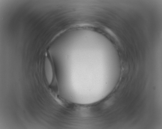 X0000081341361200702082218