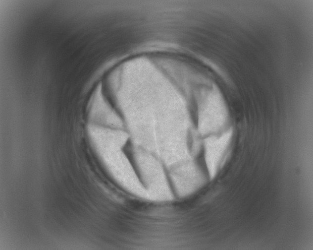 X0000081341363200702082218