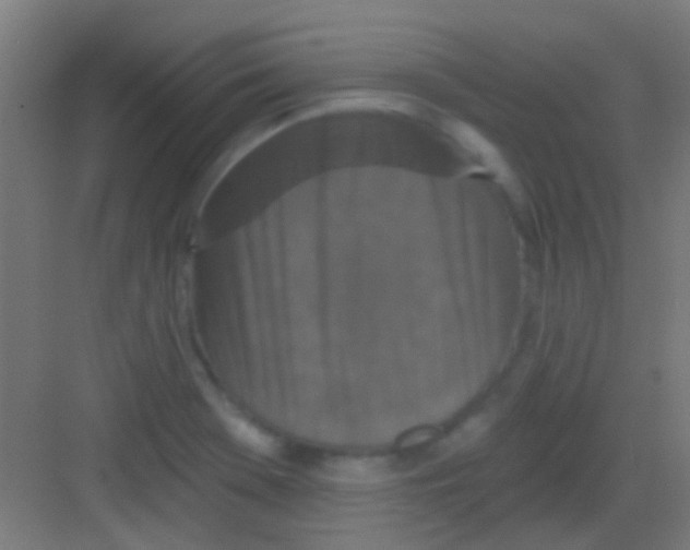 X0000081341369200702082218