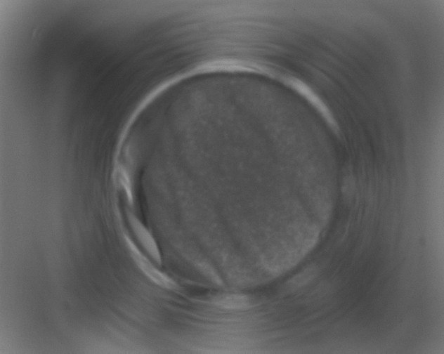 X0000081341372200702082218