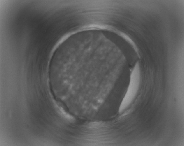 X0000081341373200702082217