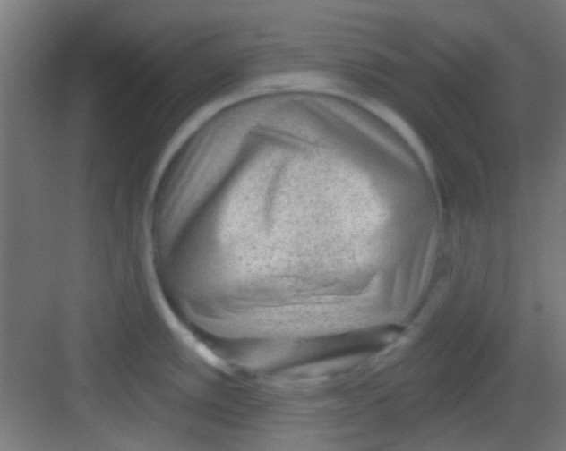 X0000081341389200702082217