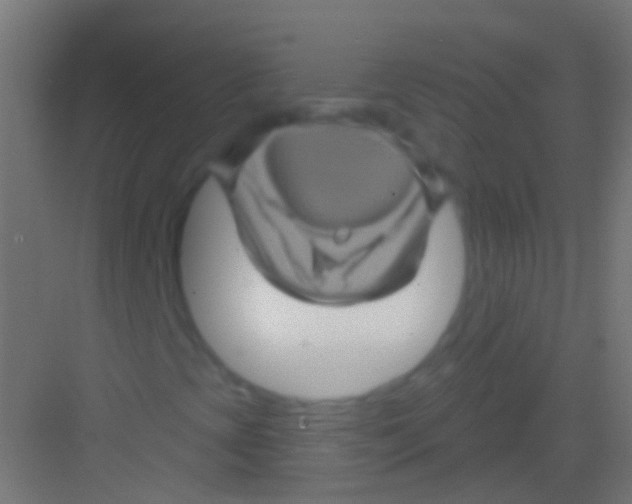 X0000081341393200702082216