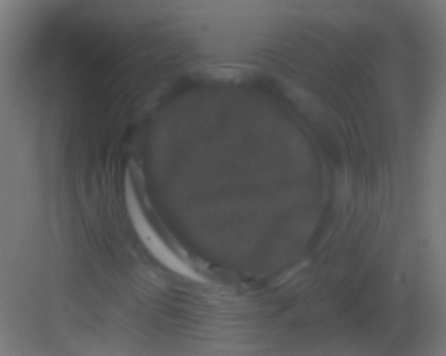 X0000081341394200702082216