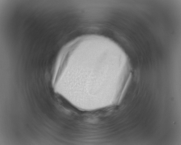 X0000081341395200702082216