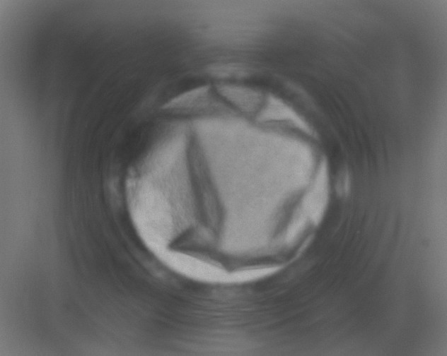X0000081341396200702082216
